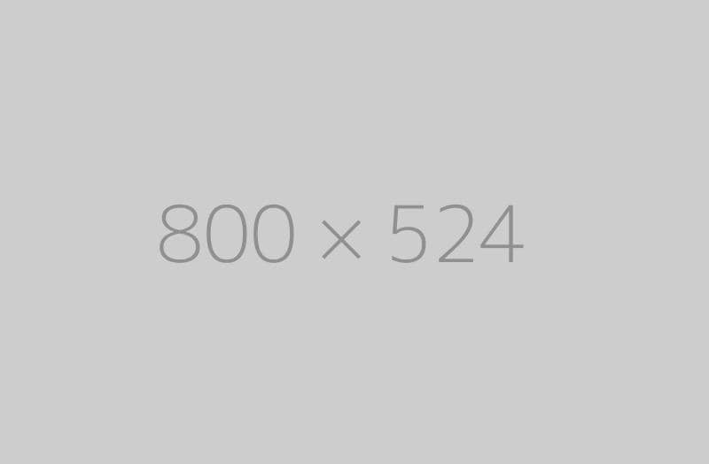 hongo 800x524-ph